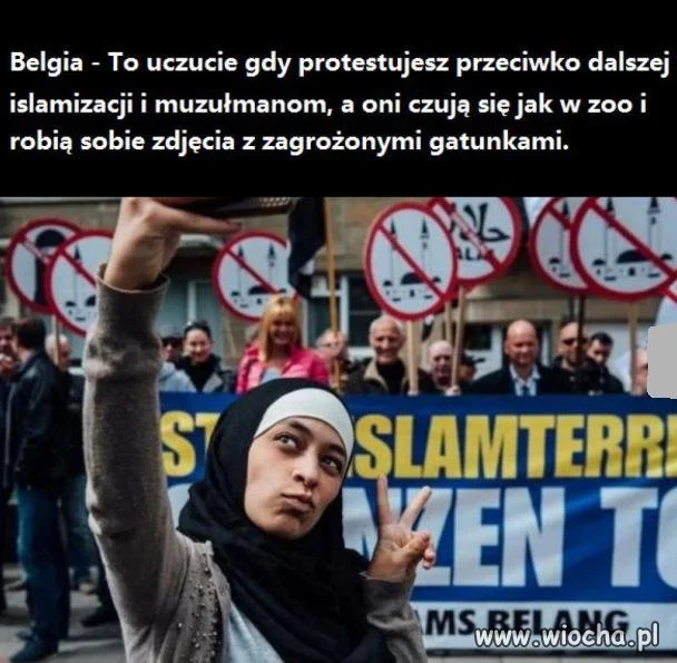 Całe szczęście, że w Polsce to oni są zagrożonym
