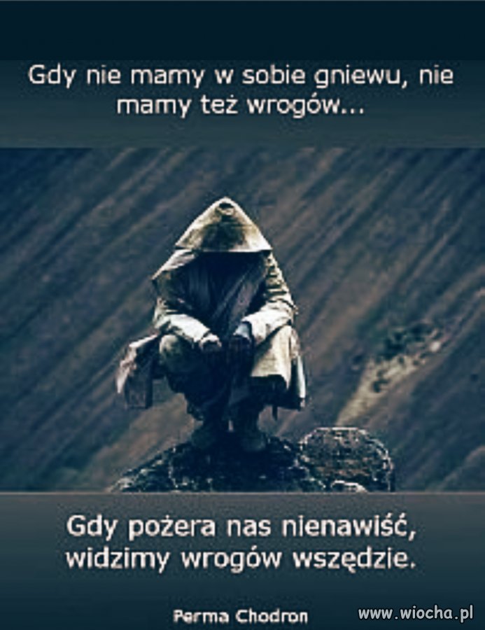 Coś dla Polskich polityków