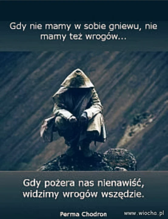 Coś dla Polskich polityków