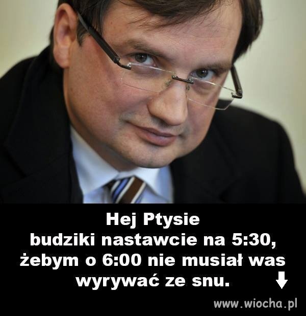 Zbigniew pozdrawia trolli