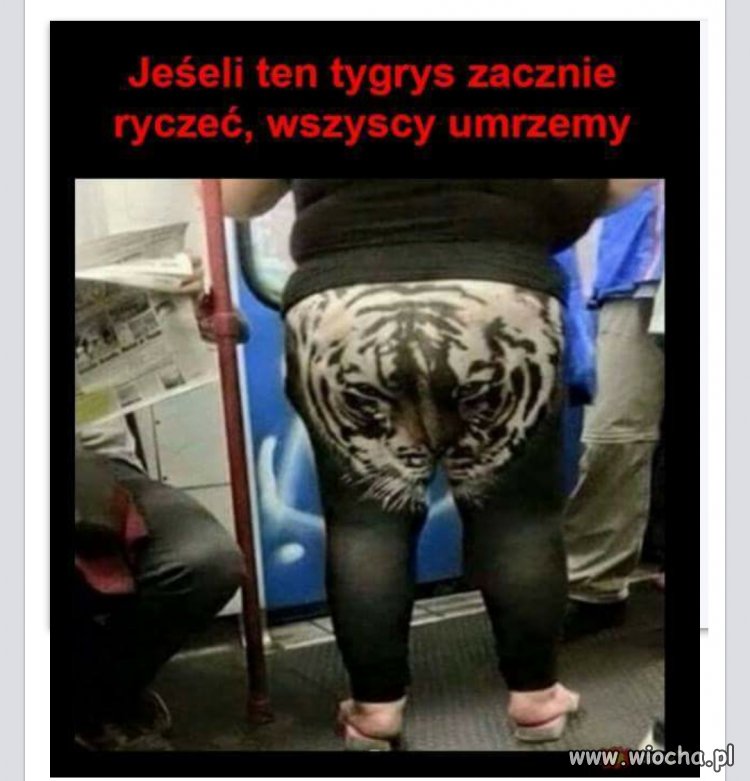 Jak lew ryknie