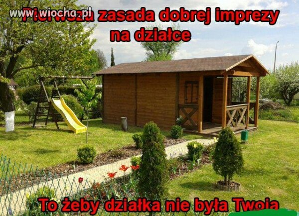 Pierwsza zasada udanej imprezy na działce.