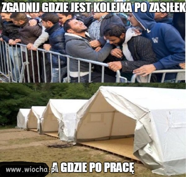 Imigranci bardzo chcą pracować