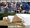 Imigranci bardzo chcą pracować