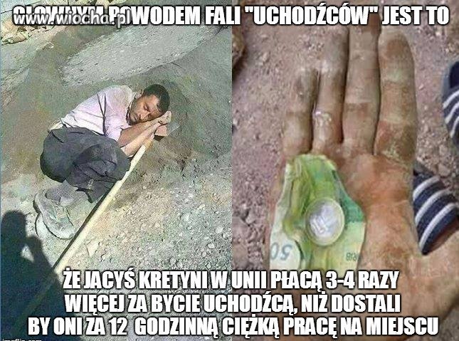 Bycie uchodźcą to dla wielu najlepszy biznes życia