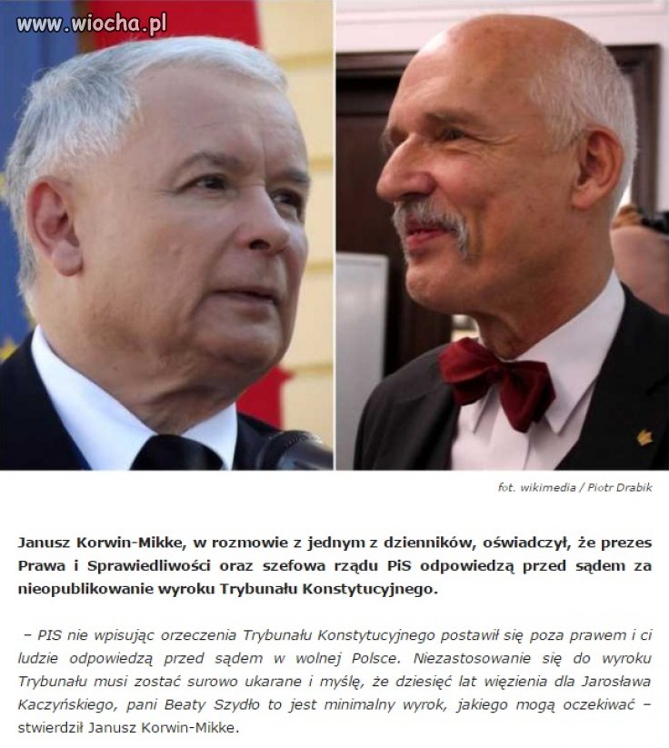 Można Korwina nie lubić... 