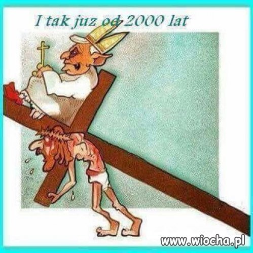 Teraz w Polsce mają super żniwa