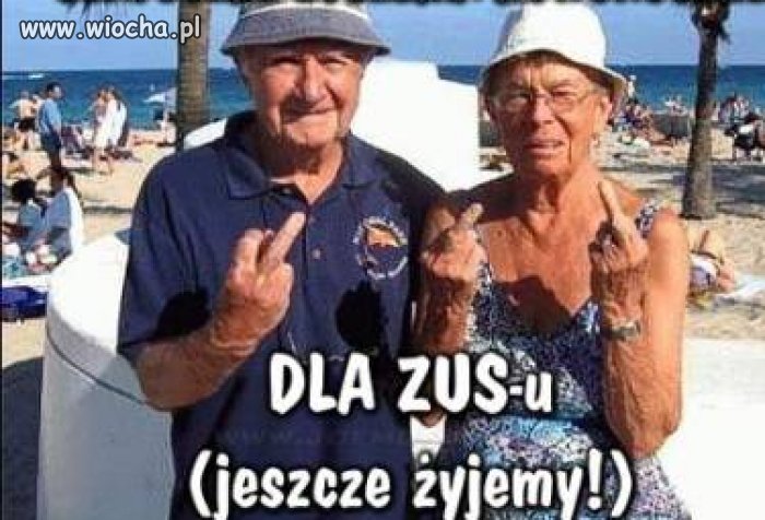 Pozdrowienia