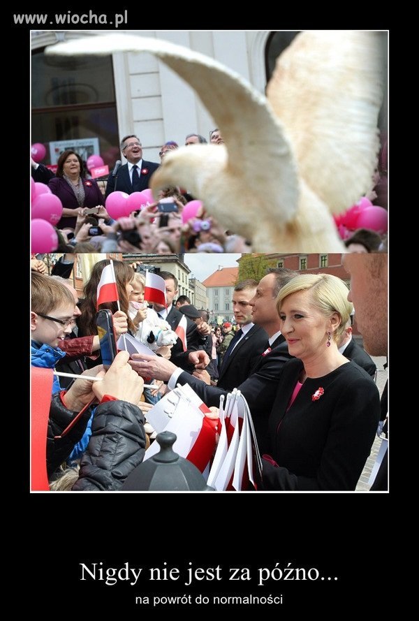 True story.