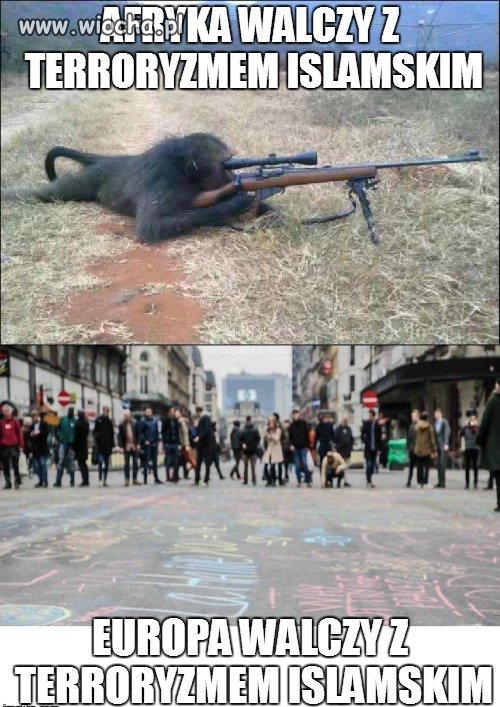 Wszyscy walczą z tym terroryzmem