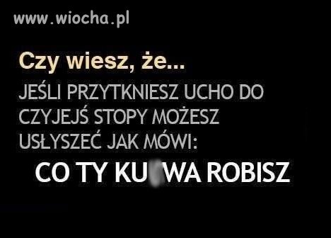 Czy wiesz, że...