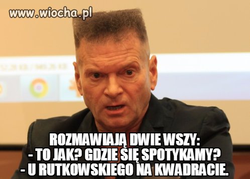 Rozmawiają dwie wszy