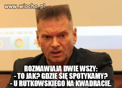 Rozmawiają dwie wszy