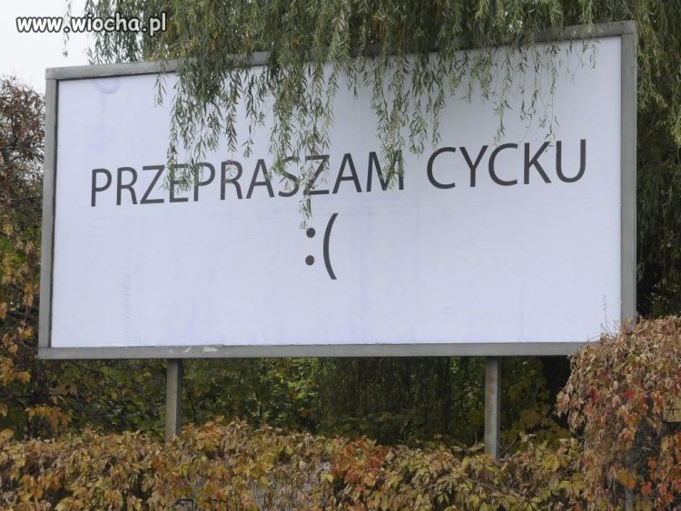 Wtf?