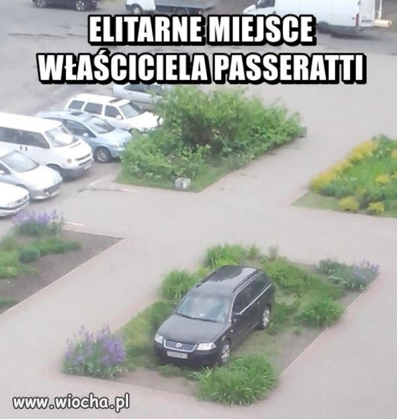 Passerati.