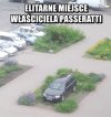 Passerati.