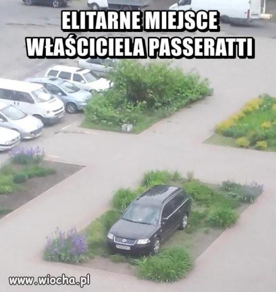 Passerati.