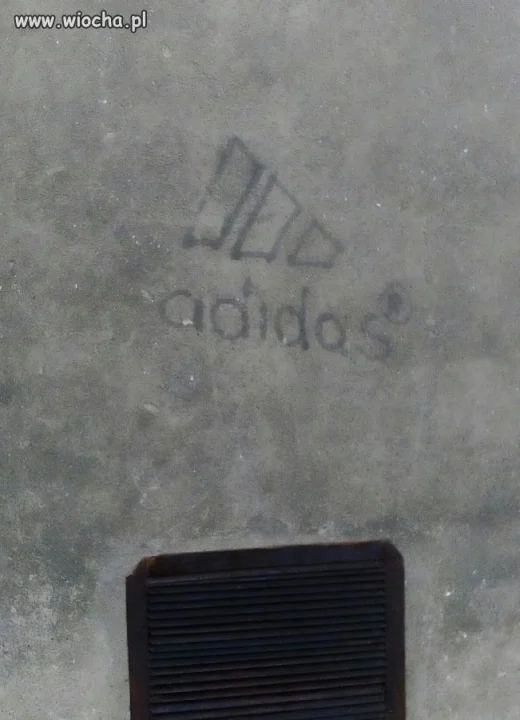 Już wiadomo 