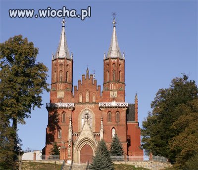 Wprowadźmy zakaz mszy w niedziele ksiądz też
