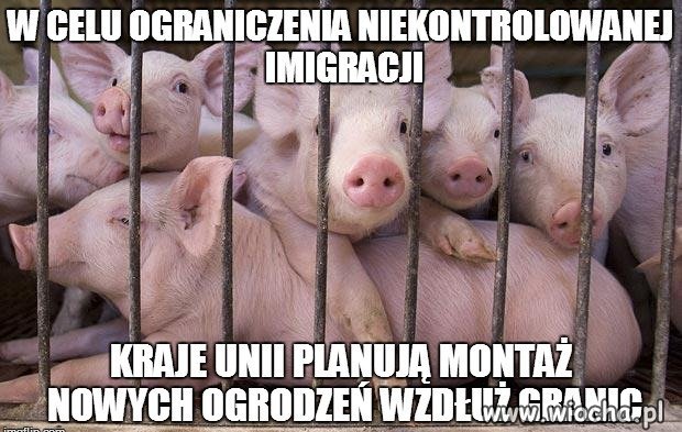 Unia szuka metod na ograniczenie