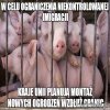 Unia szuka metod na ograniczenie