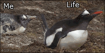 Life is brutal