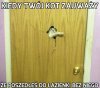 Kiedy Twój kot ...
