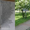 Bezczelna, złośliwie uparta KOBIETO