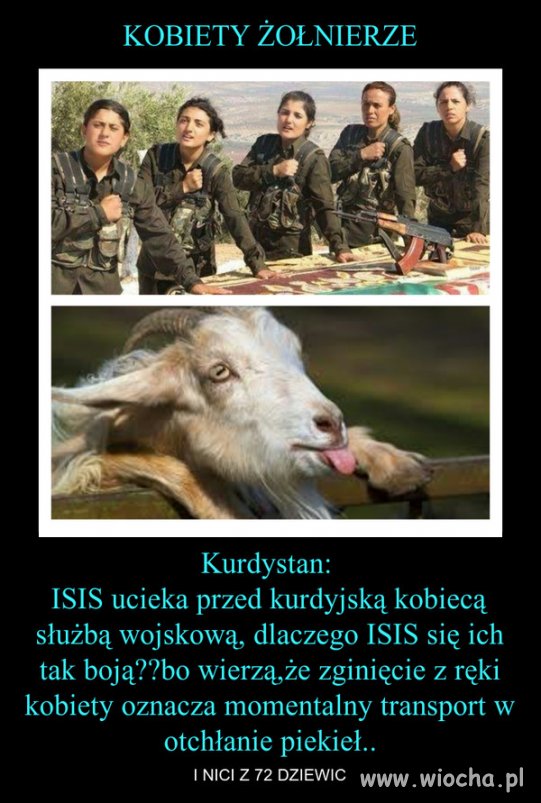 "Bohaterowie" z isis