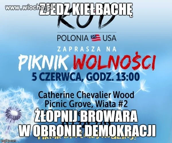Piknik wolności!