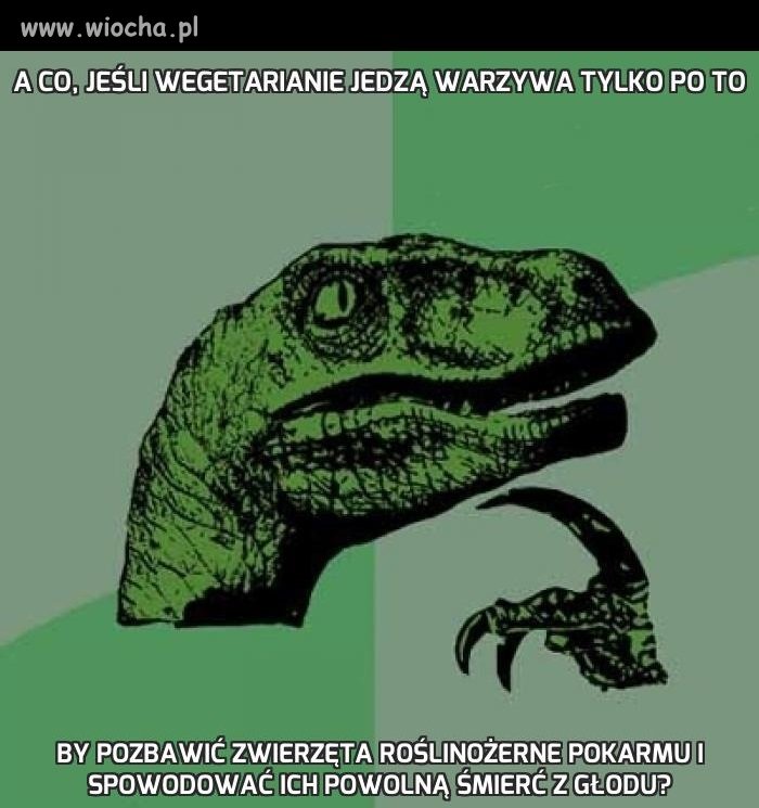 A co, jeśli wegetarianie jedzą warzywa tylko po to