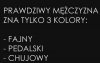 Zaprzeczysz, towarzyszu?