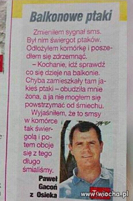 Jak zrobić z siebie idiotę za 20 PLN 