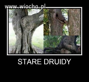 Cuda natury