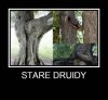 Cuda natury