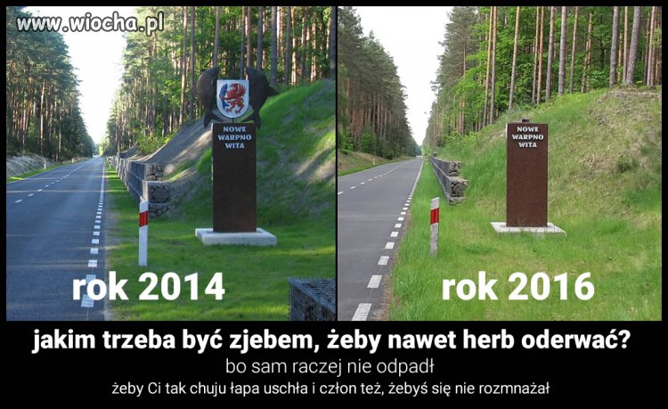 Zjebów nie brakuje