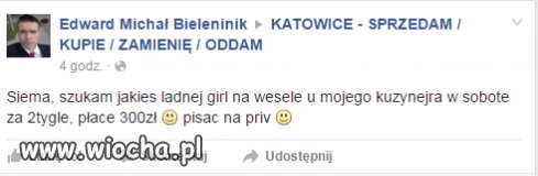 Admin szuka żony