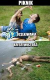 Piknik