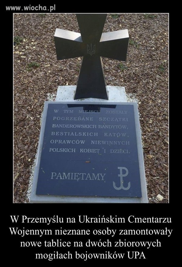 Kto w ogóle zezwolił na te mogiły?