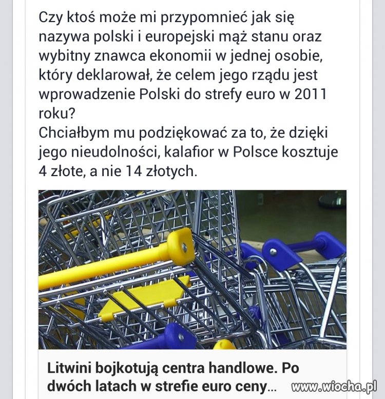 Nieudolność nieraz się opłaca.