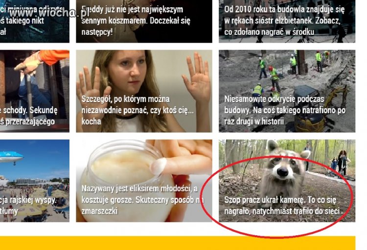 Każdy się myli 