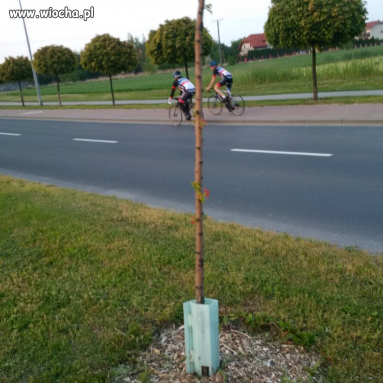 Wiocha dla rowerzystów. Maja ścieżkę, ale 