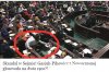 Niezależna i pl