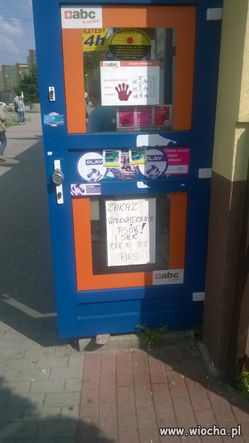 Ważna informacja dla Yorków