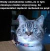 Osz ku...