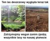 UWAGA! Chrońmy nasze lasy