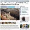 Gazeta.pl przyznała się do manipulacji liczbami.