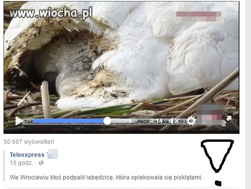 Zabić to mało