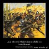 Historia w pigułce.