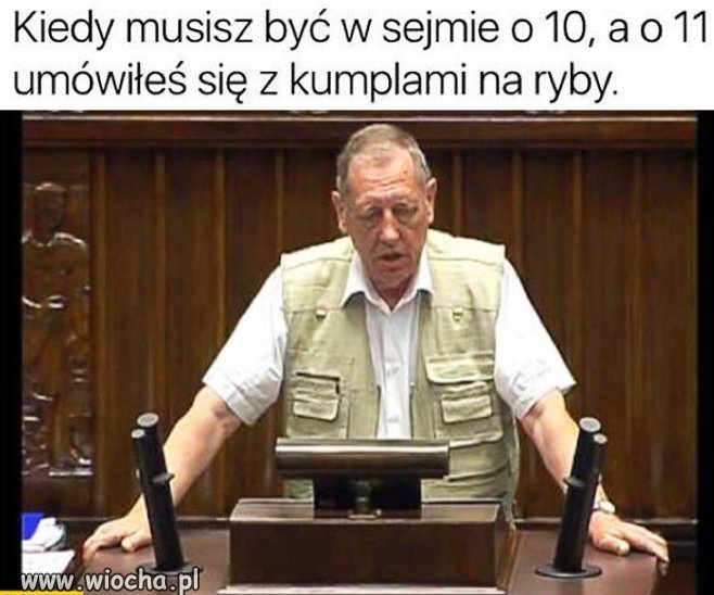 Moda 